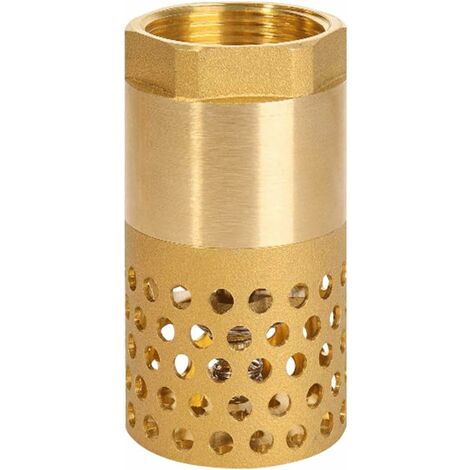 Clapet anti-retour pompe 1 pouce - clapet de pied clapet crepine anti retour (1 pouce)