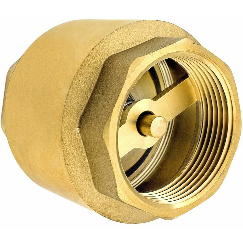 Furwoo - Clapet anti-retour Premium 1 1/4' en laiton de haute qualité robuste, antirouille et étanche pour pompe, fontaine, machine à laver, jardin,