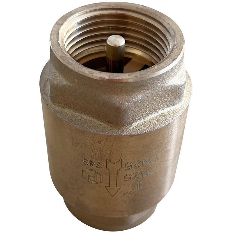 Racoexpert - Clapet anti retour type Europa laiton ff 33x42