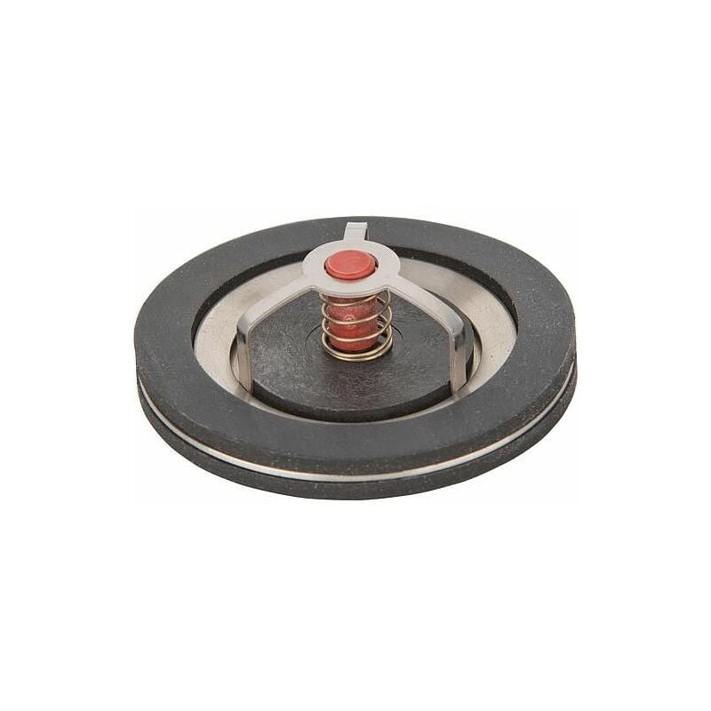 Banyo - Clapet anti-thermosiphon TopInset Type 73 DN40 1 1/2'