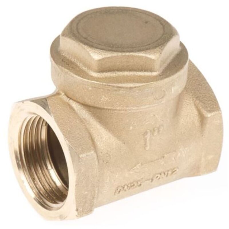 Rs Pro - Clapet antiretour en Laiton bspp 1' ( Prix pour 1 )