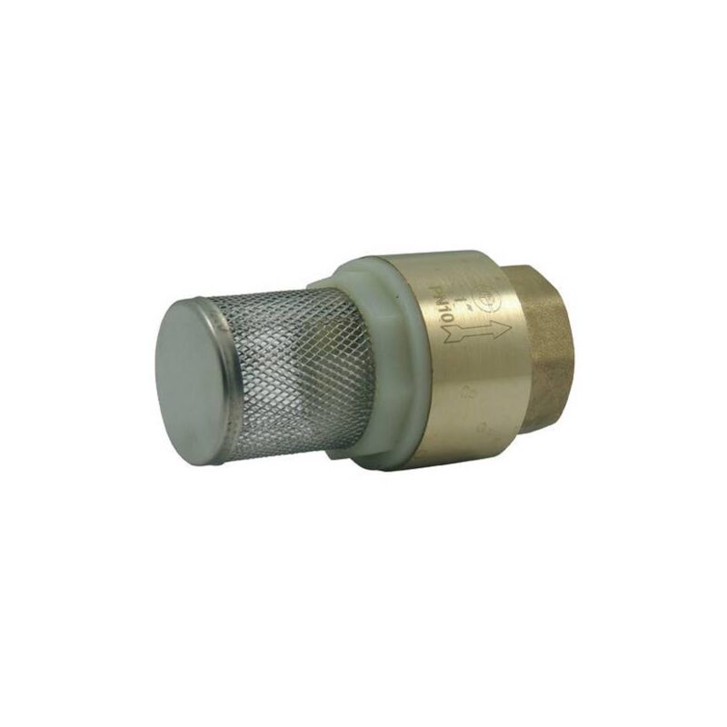 Clapet corps laiton avec crépine inox 304 1''1/2