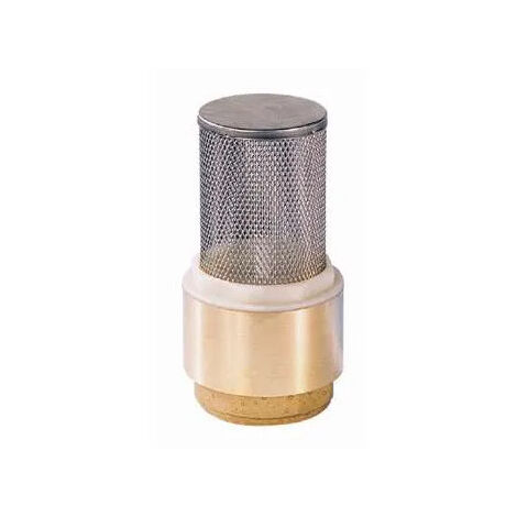 Clapet crépine 60x76