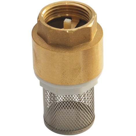 Clapet crépine à double guidage laiton disque Nylon Femelle - Série 311 50x60