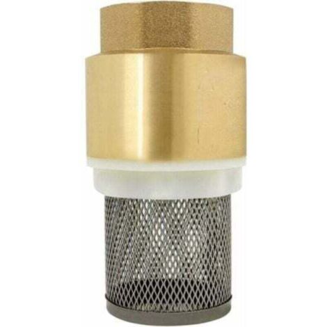 Clapet crepine anti retour 1/2、3/4、1、2 pouce - vanne non retour clapet anti-retour pompe (2 pouce)-