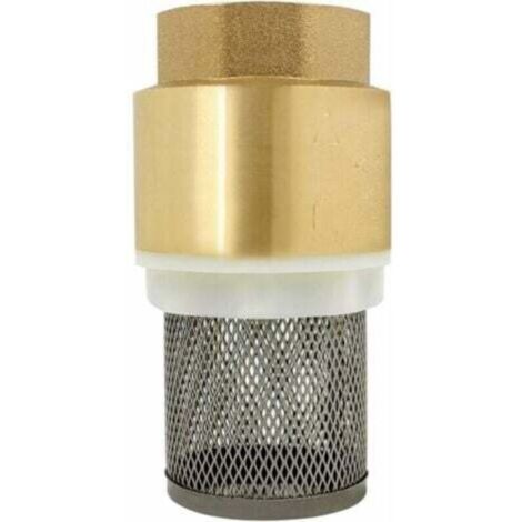 Clapet crepine anti retour 1/2、3/4、1、2 pouce - vanne non retour clapet anti-retour pompe (2 pouce)--