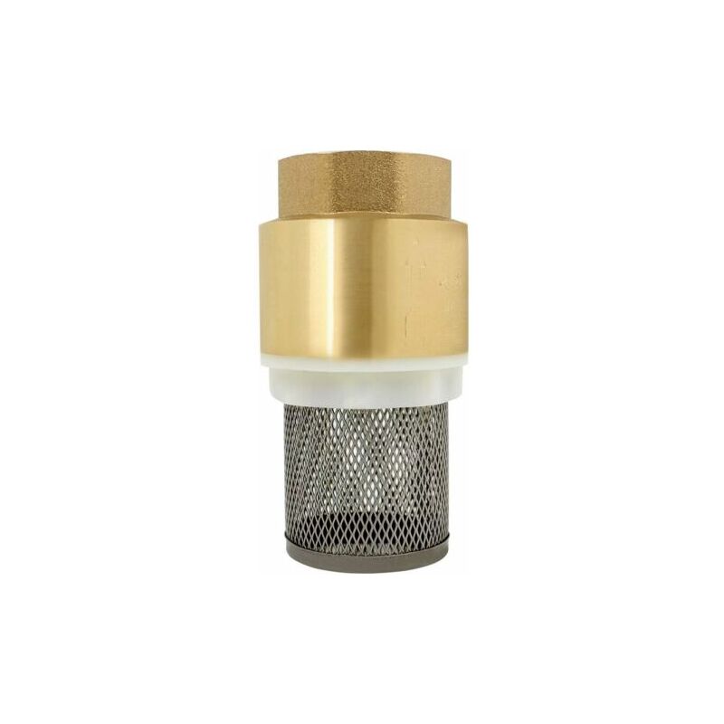 SNQ - Clapet crepine anti retour 1/2、3/4、1、2 pouce - vanne non retour clapet anti-retour pompe (2 pouce)--