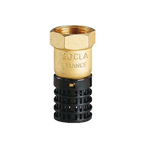Clapet crépine eau laiton panier PE - Watts Industries - F 40x49