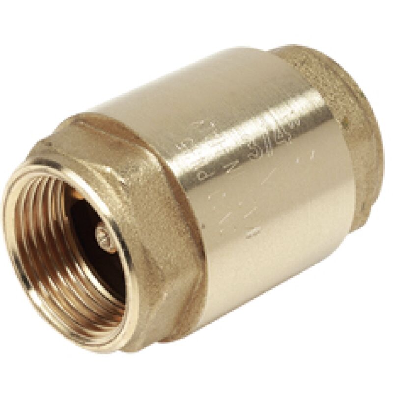 Clapet anti-retour à disque en laiton Giacomini R60 2'