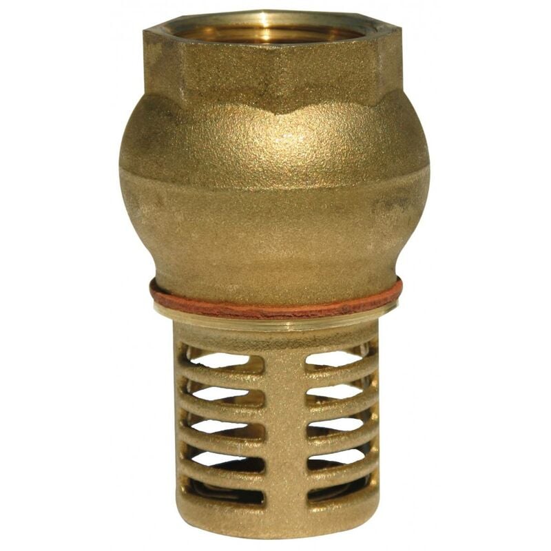 Renson - clapet de pied + crepine laiton femelle 1''1/2