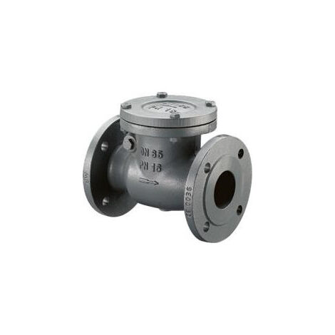 CLAPET DE RETENUE A BATTANT PN16 DN65