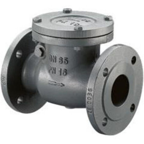 CLAPET DE RETENUE A BATTANT PN16 DN80