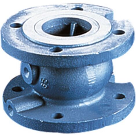 CLAPET SOCLA 402, CORPS FONTE, À BRIDES DN 80 149B2284