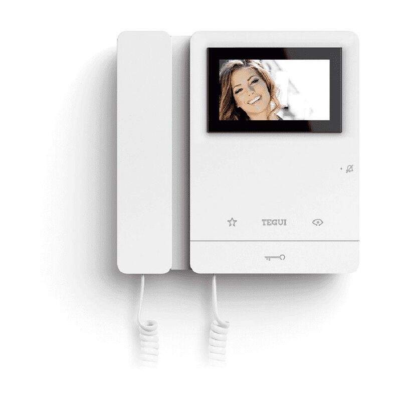 Tegui - 2-Wire Colour Monitor 8 Series 374494