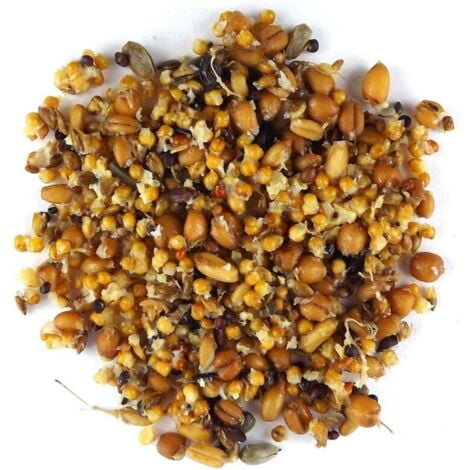 Claus Keimfutter - Germogli naturali per parrocchetti e altri piccoli papua 210 ml