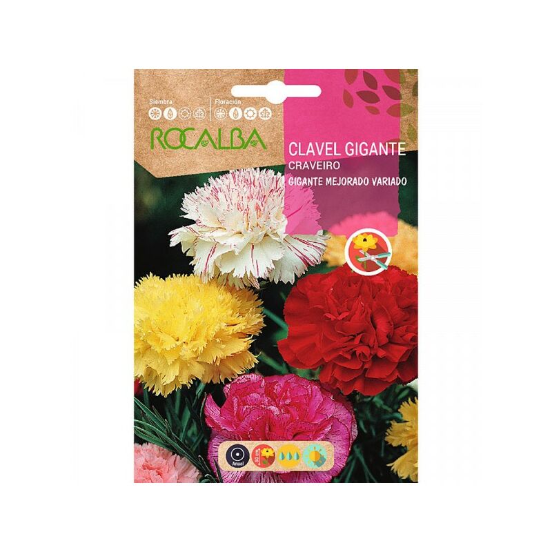 

Clavel Gigante Enfant De Nice Doble Variado - Sobre De Semillas 1G