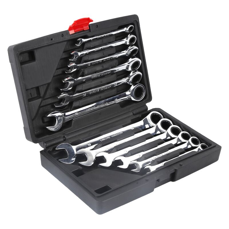 Clé à Cliquet, Clés Mixtes Professionnelles 12 Pièces Clé à Cliquet Poignée Ensemble d'outils à Main 8-19mm