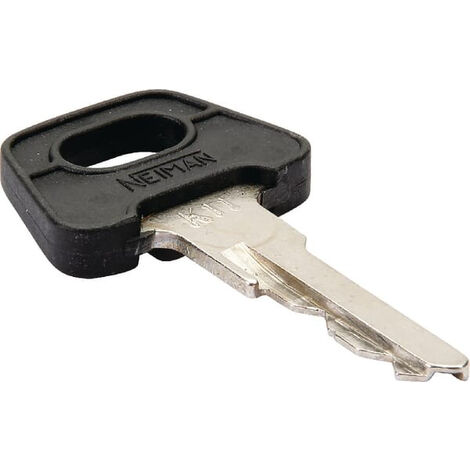 Clé de contact AGRIA AGW67077