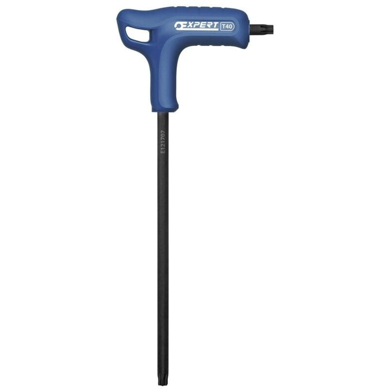 Clé mâle Torx en T emmanchée T 27 Expert