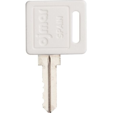 Clé passe général pour cylindre interchangeable - Grappin Annat