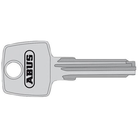 Clé pour cylindre de serrure – Laiton nickelé mat – Résistance à l'usure – Compatible avec Abus EC550