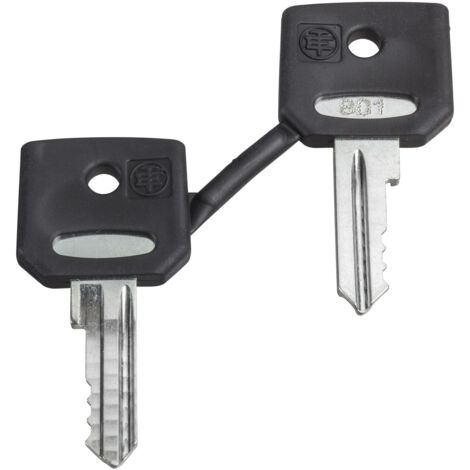 clé pour serrure - n degrés458a - schneider harmony zbg458a