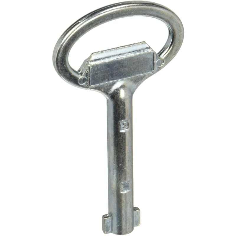 NSYLDB5 clé métal pour inserto de double barre, 5 mm - Schneider Electric