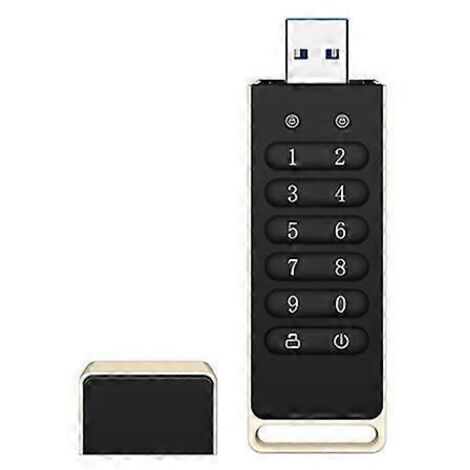 Clé USB cryptée 32 Go avec mot de passe matériel, noire (voir photo)