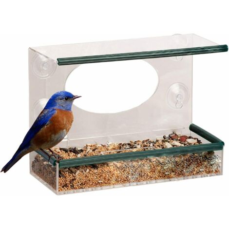 Clear Perspex Window Mounted Bird Feeder Suction