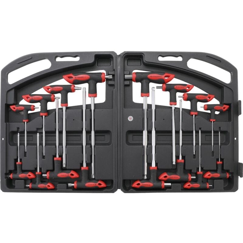 Bgs Do It Yourself - Cles 6 pans et torx avec poignee en t - jeu de 16 tournevis en t