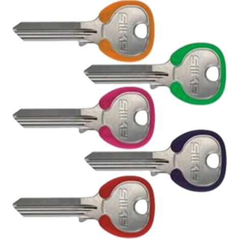 Clés en laiton avec bord coloré, assorties