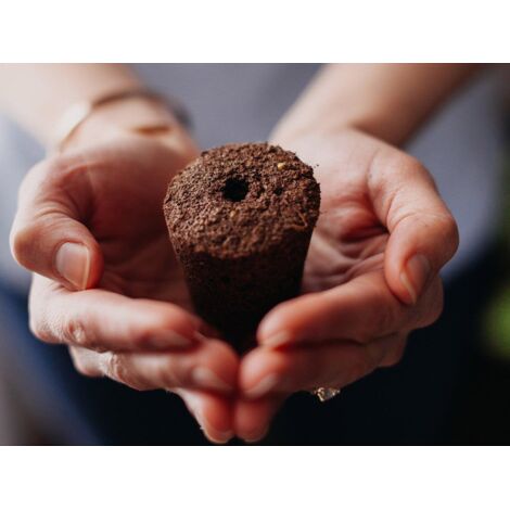 Click and Grow Smart Garden 9 Innengarten schwarz