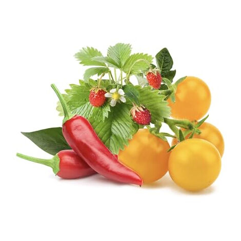 CLICK AND GROW SMART LOT DE 9 POTS DE FRUITS ET LÉGUMES PPMFVX9