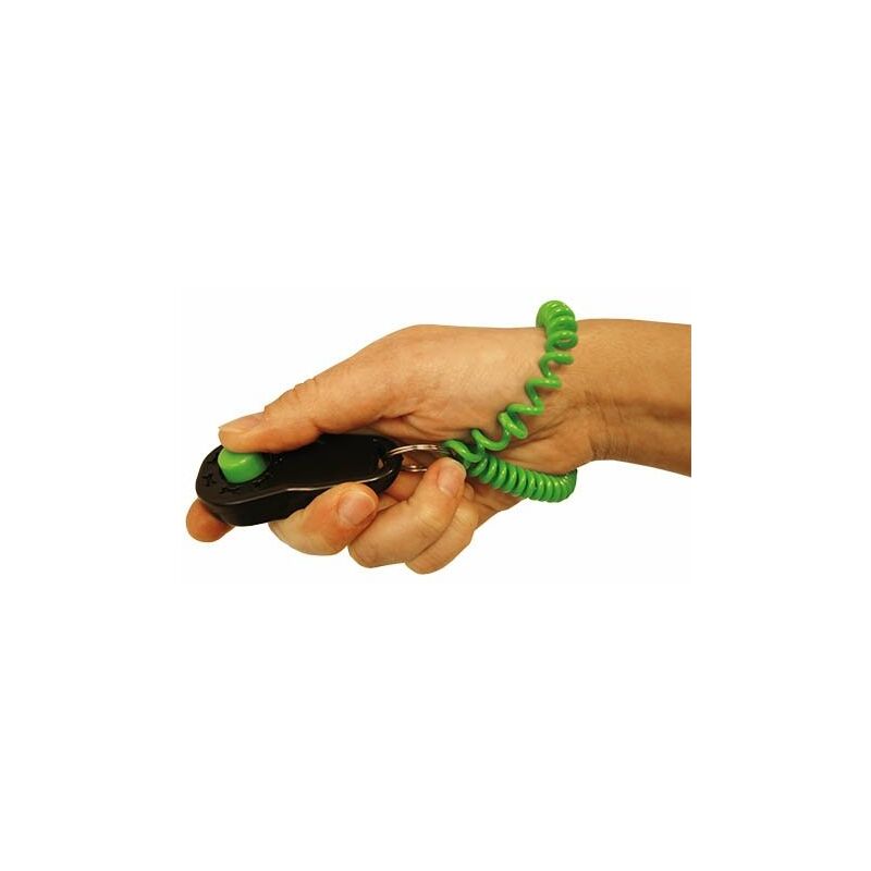 

Clicker IBÁÑEZ