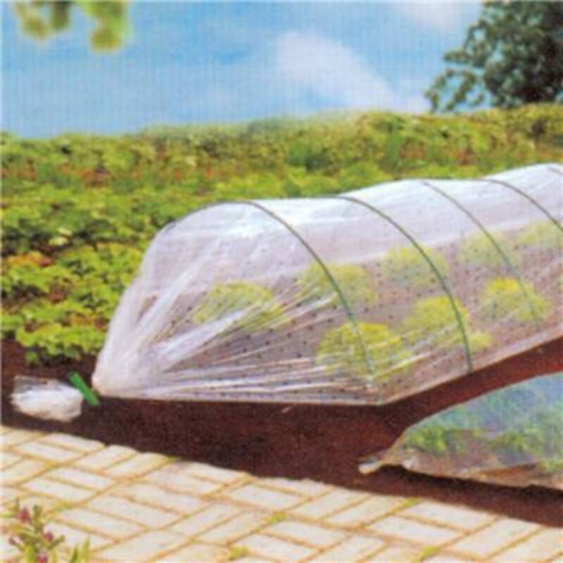 Film croissance perfore - 10M x 2M - divers