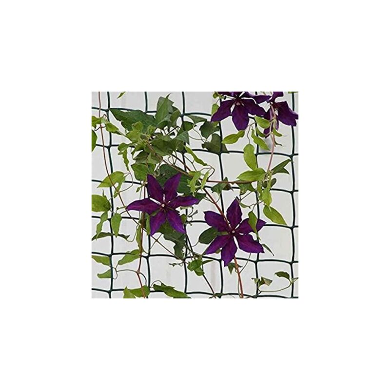 Marco Paul - Climbing Plant & Fencing Garden Mesh Outdoor Indoor Fencing Plant Support Plastic Mesh Netting for Flowers Plants Protection Allotment