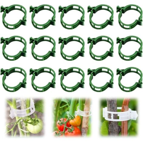 Clip di supporto in plastica per piante rampicanti, clip di supporto in plastica, adatte per fissare piante di pomodoro, viti e ortaggi (50 pezzi, verde)