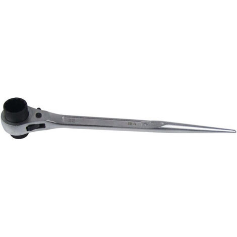 Cliquet pour échafaudage ( 4000818093 ) Longueur totale 310 mm