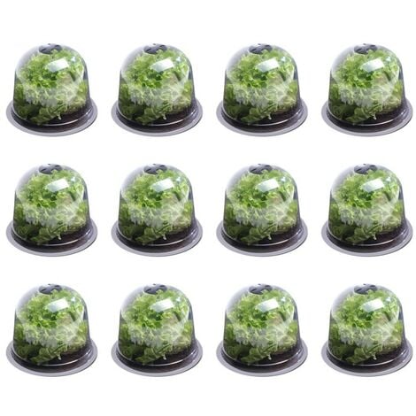 Cloche à salades x12 serre de protection pour plants - Transparent