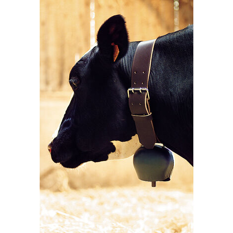 Cloche De Vache Blanche - Commerce équitable (11 X 9 X 6 Cm