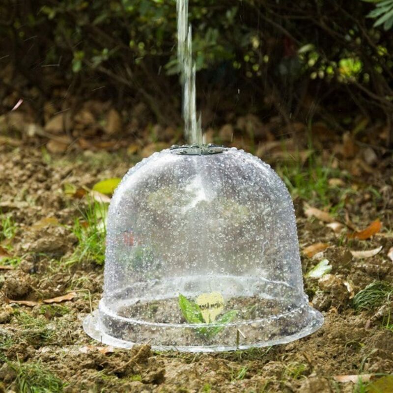 Cloche de Forçage Transparente pour Semis – Protection de Plante Aérée pour Jardinage
