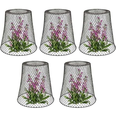Cloche de Protection Métal pour Plantes Lot de 5 Tuteur Végétaux Noir