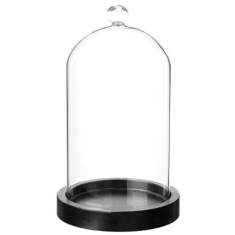 Cloche En Verre Sur Socle Bois Paulownia - Déco Maison 14 Cm De Diamètre, 21 Cm De Haut