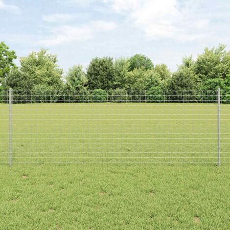 Clôture avec poteau-Clôture de jardin Argenté 0,8 x 10 m Acier 894259