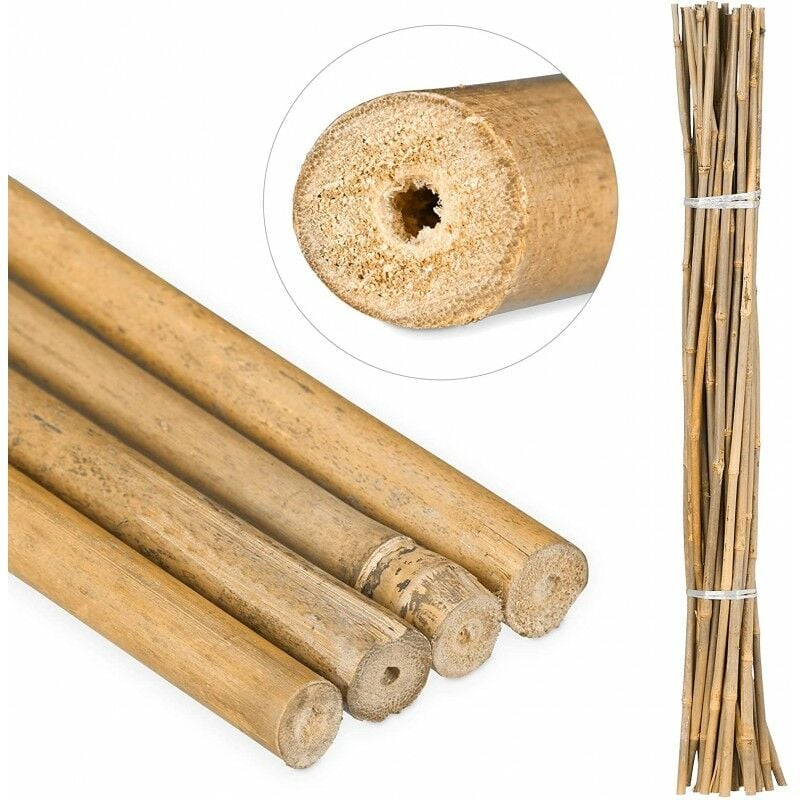 50 x Tuteur en Bambou 100 cm, 10-12 mm. Baguettes de bambou, canne de bambou écologique pour soutenir les arbres