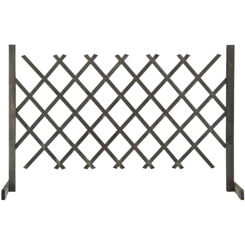 Vidaxl - Clôture en treillis de jardin Gris 120x90 cm Bois de sapin