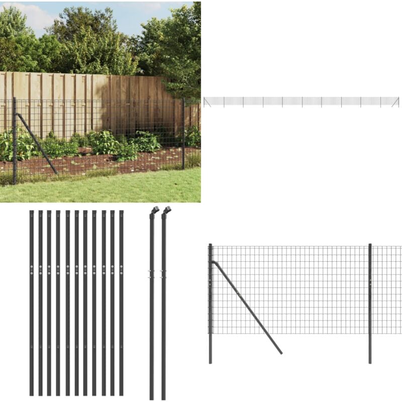 Vidaxl - Clôture en treillis métallique anthracite 0,8x25 m - Clôture Métal - Clôture Jardin - Clôture Rigide - Clôture Anthracite - Clôture Sécurité