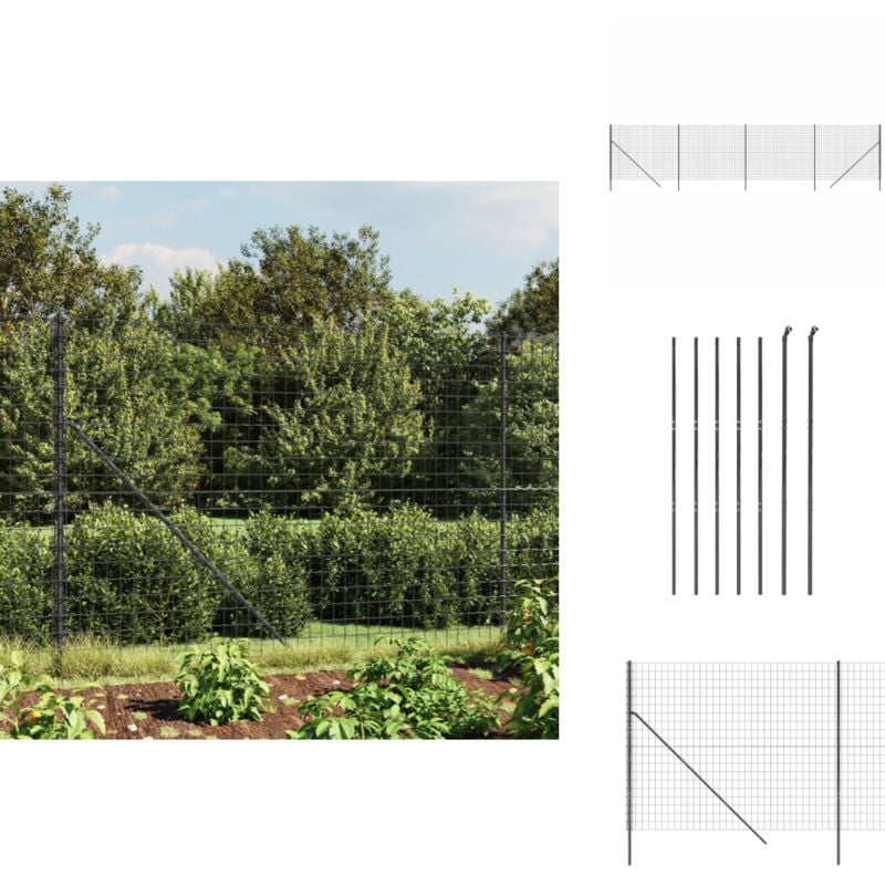 Vidaxl - Clôture en treillis métallique anthracite 2x10 m - Clôture Métal - Clôture Jardin - Clôture Rigide - Clôture Anthracite - Clôture Sécurité