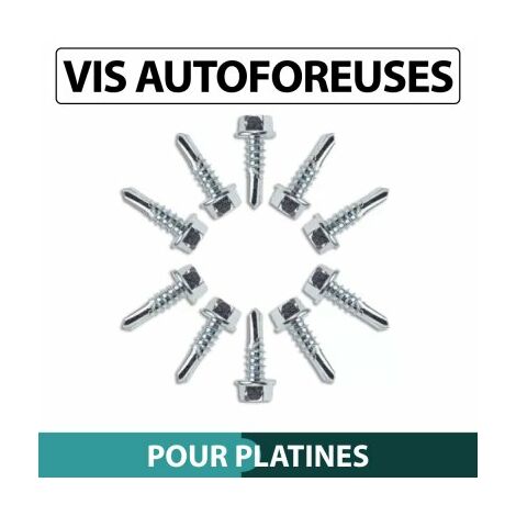 Cloture & Jardin – Vis autoforeuses pour platine 5.5mm – Acier zingué – Lot de 10 – Tête hexagonale pour installation rapide