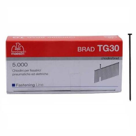 Clous de 20 mm, 5000 pièces, tête Groppino, taille 20, Maestri